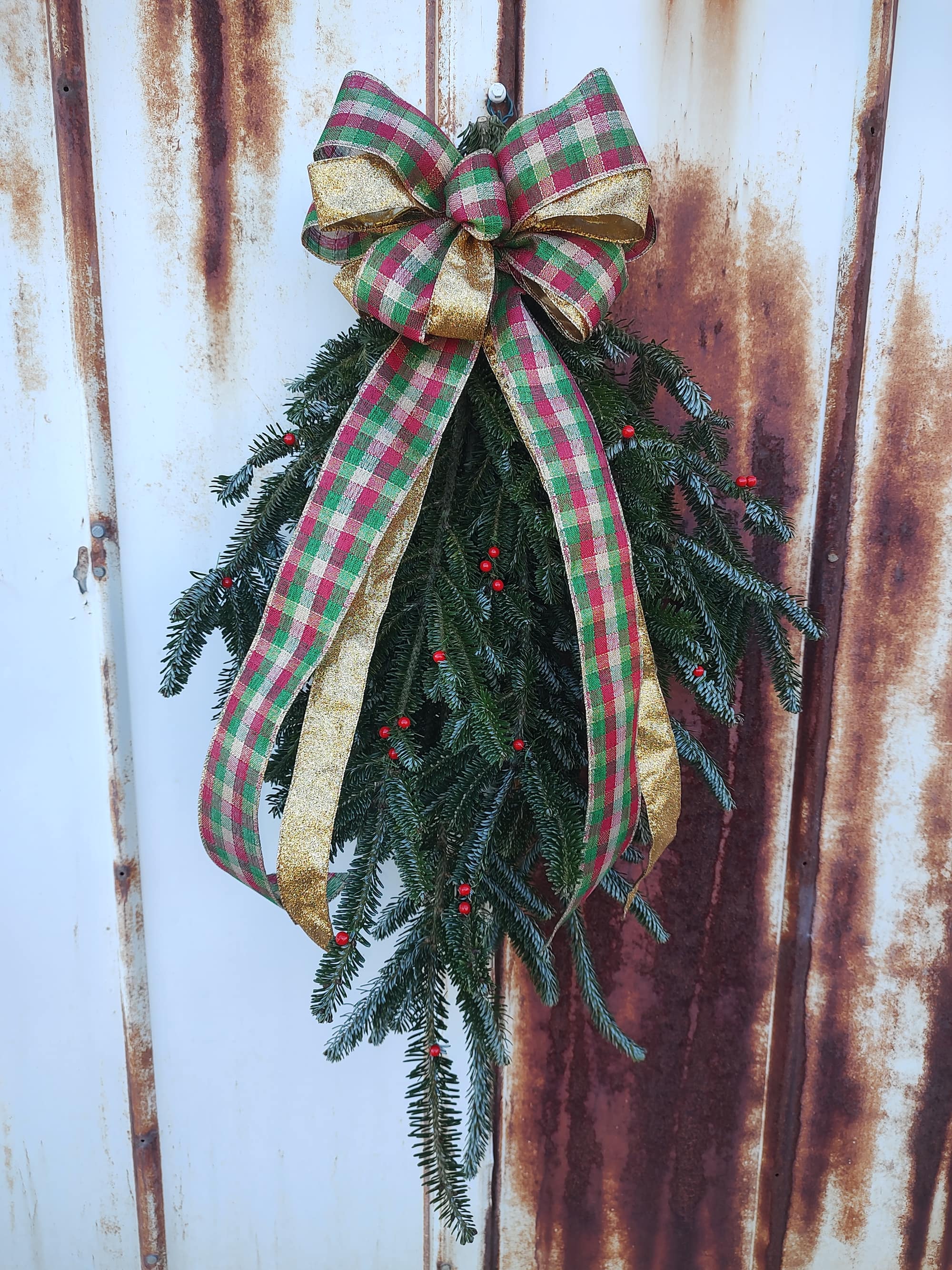 Fraser Fir trees growing on a misty mountainside at Peach Bottom Christmas Tree Farm