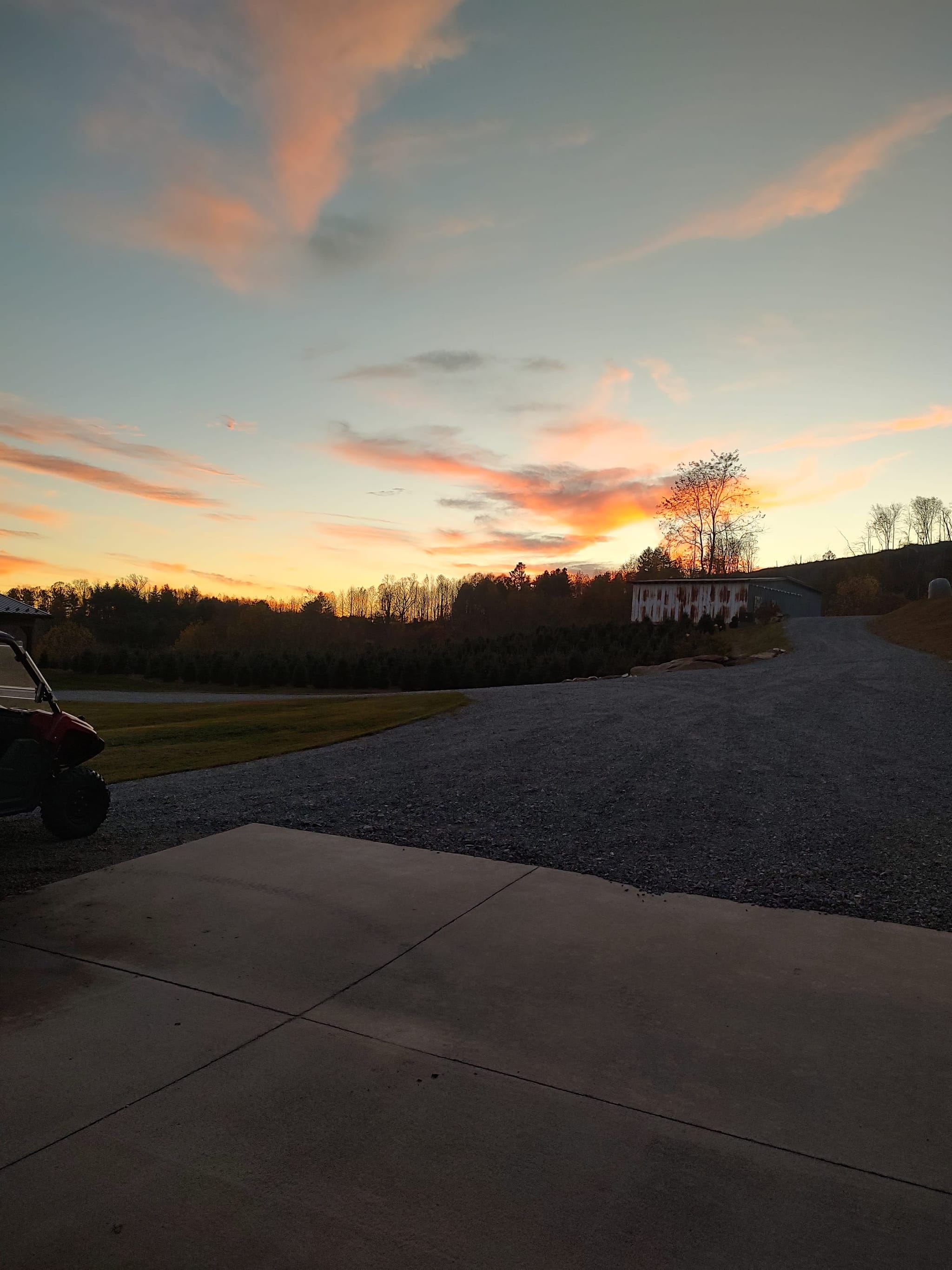 Sunset over Peach Bottom Christmas Tree Farm with rows of Fraser Firs and mountain views